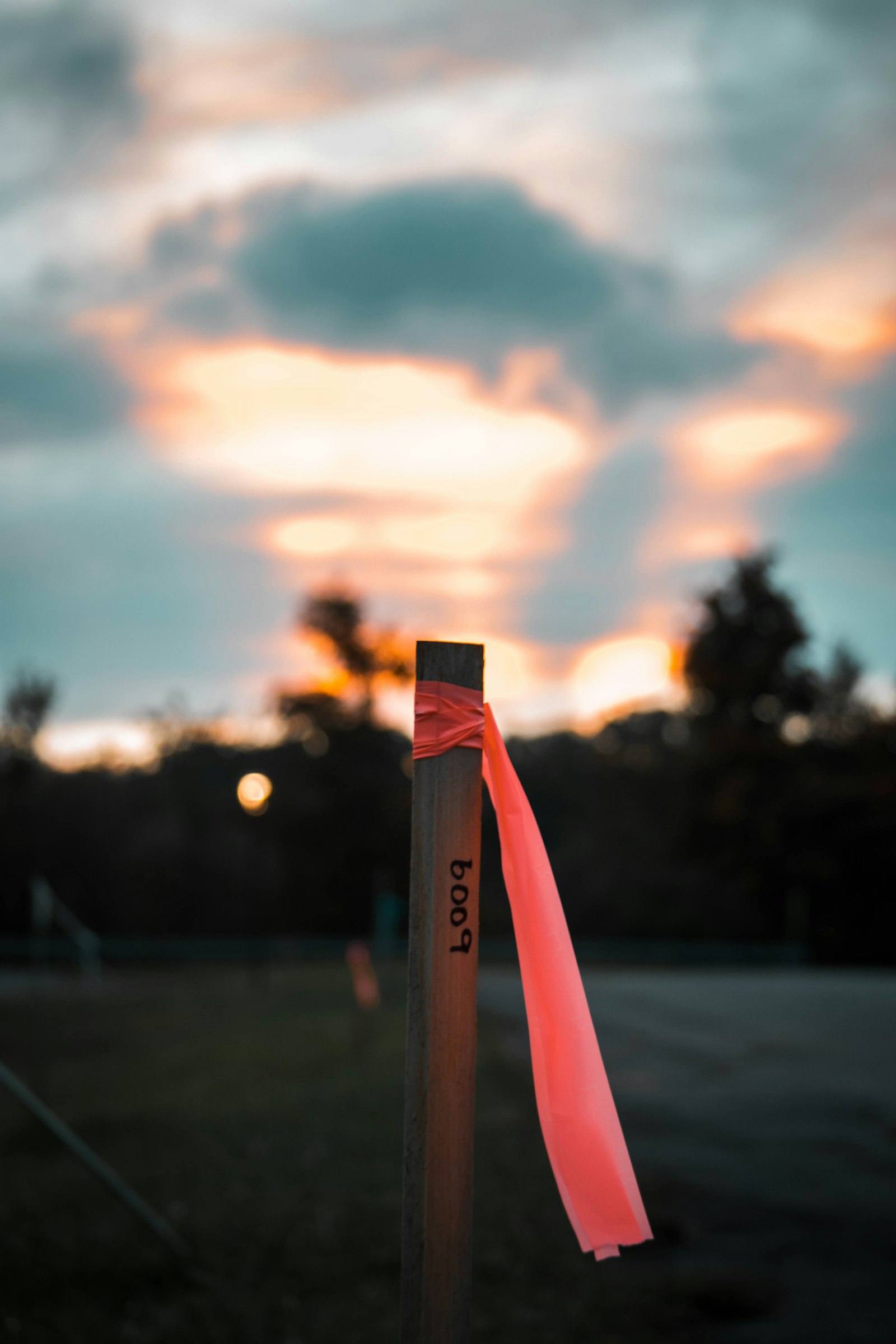 Utility marker flag identifying a located underground line